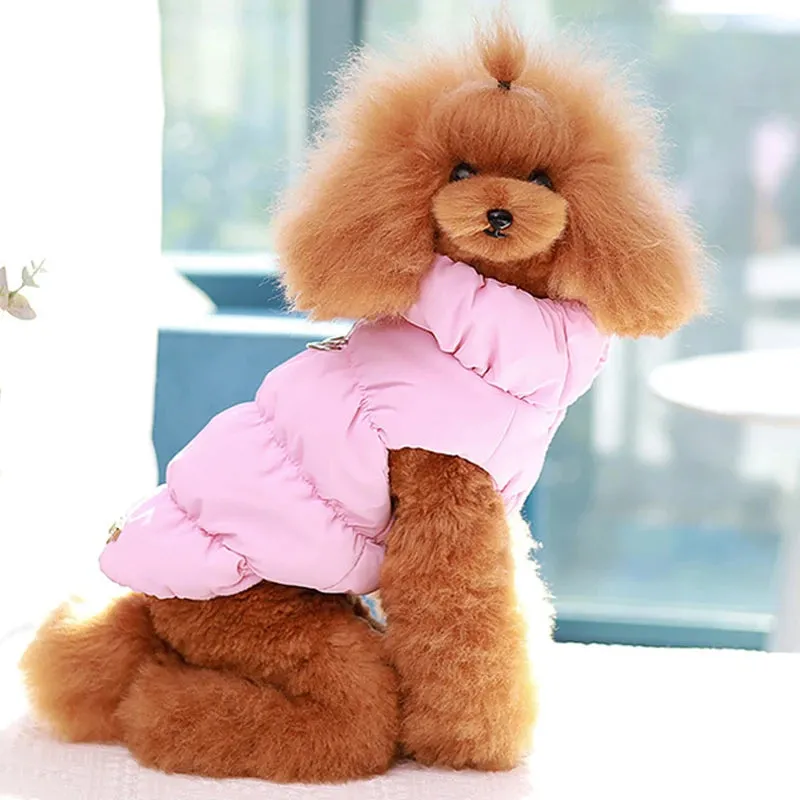 Warm Padded Dog Jacket with D-Ring Attachment