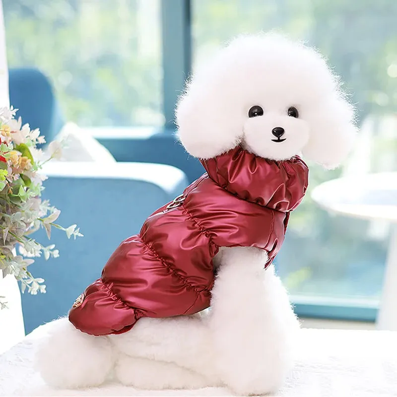 Warm Padded Dog Jacket with D-Ring Attachment