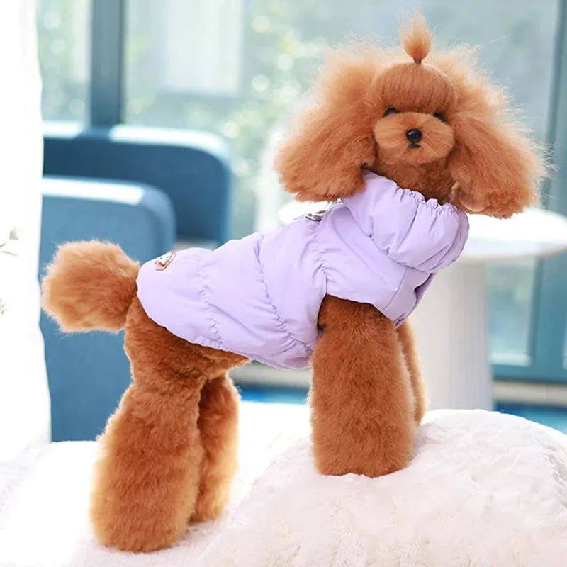 Warm Padded Dog Jacket with D-Ring Attachment