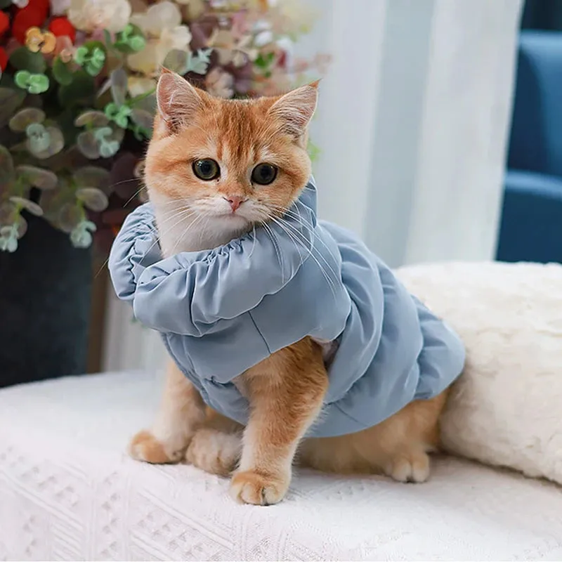 Warm Padded Dog Jacket with D-Ring Attachment