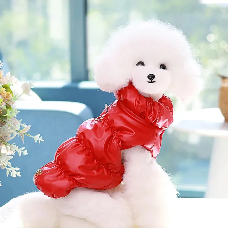 Warm Padded Dog Jacket with D-Ring Attachment
