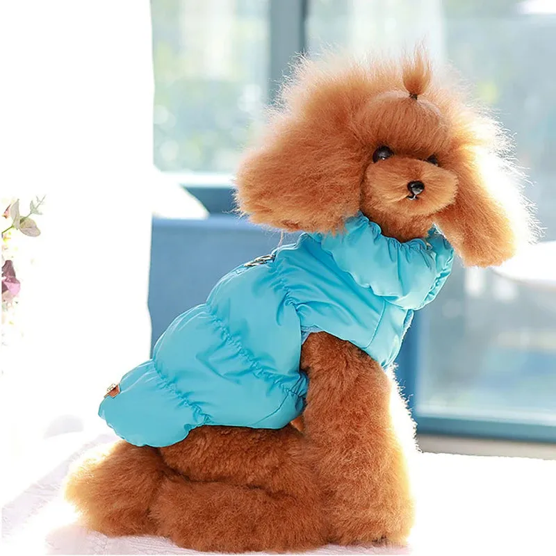 Warm Padded Dog Jacket with D-Ring Attachment