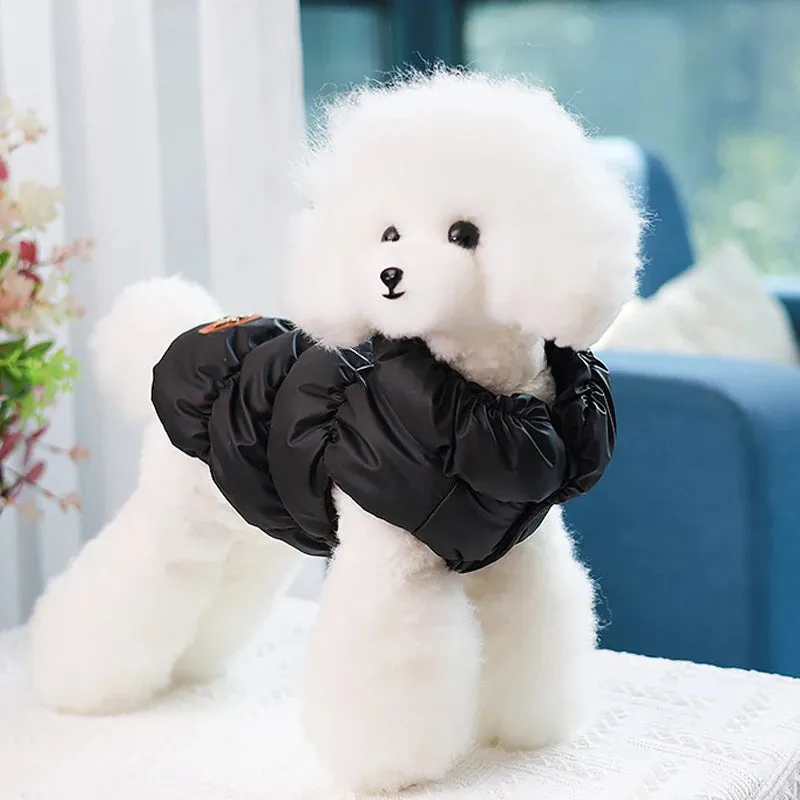 Warm Padded Dog Jacket with D-Ring Attachment