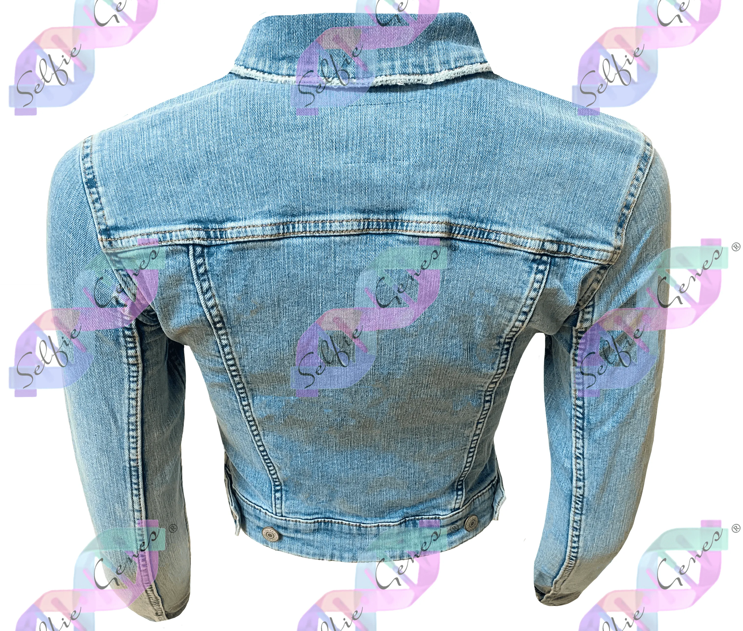Women's Classic Denim Jacket